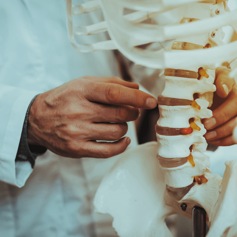 Doctor pointing to disc in spinal skeleton